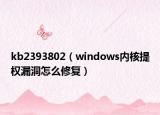 kb2393802（windows内核提权漏洞怎么修复）