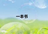 一本书
