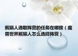 熊猫人选取阵营的任务在哪接（魔兽世界熊猫人怎么选择阵营）