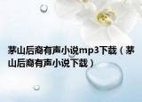茅山后裔有声小说mp3下载（茅山后裔有声小说下载）