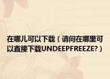 在哪儿可以下载（请问在哪里可以直接下载UNDEEPFREEZE?）