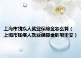 上海市残疾人就业保障金怎么算（上海市残疾人就业保障金到哪里交）
