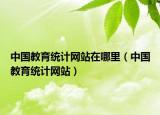 中国教育统计网站在哪里（中国教育统计网站）