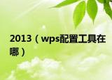 2013（wps配置工具在哪）