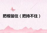 把根留住（把持不住）