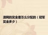 澳网的奖金是怎么分配的（冠军奖金多少）