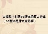 大嘴和小影玩bd版本的双人游戏（bd版本是什么意思啊）