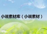 小说素材库（小说素材）
