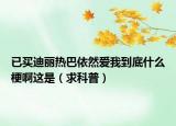已买迪丽热巴依然爱我到底什么梗啊这是（求科普）