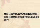 大庆石油学院2000年录取分数线（大庆石油学院是几本?是211?还是985?）