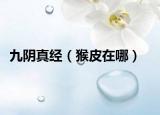 九阴真经（猴皮在哪）