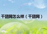 千团网怎么样（千团网）
