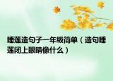睡莲造句子一年级简单（造句睡莲闭上眼睛像什么）