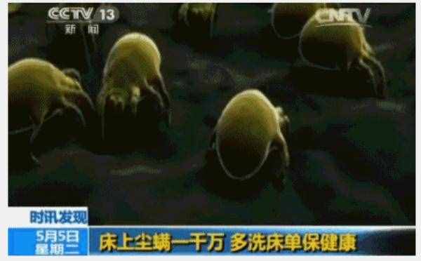 天气渐凉 如何防螨除螨？