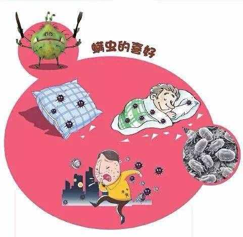 天气渐凉 如何防螨除螨？