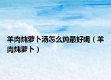 羊肉炖萝卜汤怎么炖最好喝（羊肉炖萝卜）