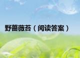 野蔷薇苔（阅读答案）
