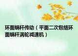 环面蜗杆传动（平面二次包络环面蜗杆涡轮减速机）