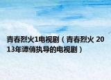 青春烈火1电视剧（青春烈火 2013年谭俏执导的电视剧）