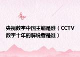 央视数字中国主编是谁（CCTV数字十年的解说者是谁）