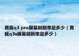 真我q3 pro屏幕刷新率是多少（真我q3s屏幕刷新率是多少）