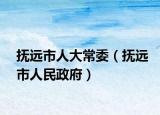 抚远市人大常委（抚远市人民政府）