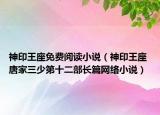 神印王座免费阅读小说（神印王座 唐家三少第十二部长篇网络小说）
