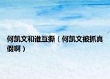 何凯文和谁互撕（何凯文被抓真假啊）
