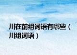 川在前组词语有哪些（川组词语）