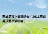 西城男孩上海演唱会（2011西城男孩北京演唱会）