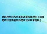 北风是从北方吹来的还是吹北边的（北风是吹往北边的风还是从北边吹来的风）