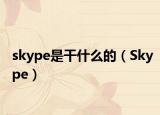 skype是干什么的（Skype）