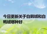 今日更新关于白鹅绒和白鸭绒哪种好