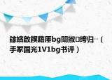 鎵嬪啟鍥藉厜bg闈掓绔归┈（手冢国光1V1bg书评）