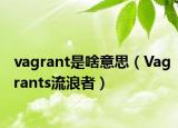 vagrant是啥意思（Vagrants流浪者）