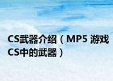 CS武器介绍（MP5 游戏CS中的武器）
