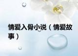 情爱入骨小说（情爱故事）