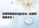 春潮带雨晚来急的全诗（春潮带雨晚来急）
