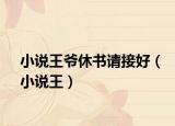 小说王爷休书请接好（小说王）