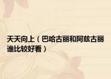 天天向上（巴哈古丽和阿兹古丽谁比较好看）