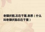 老骥伏枥,志在千里,意思（什么叫老骥伏励志在千里）