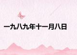 一九八九年十一月八日