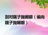 别对瞎子抛媚眼（偏向瞎子抛媚眼）