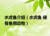 水虎鱼介绍（水虎鱼 硬骨鱼纲动物）