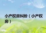 小产权房纠纷（小产权房）