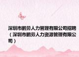 深圳市鹏劳人力管理有限公司招聘（深圳市鹏劳人力资源管理有限公司）