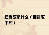 细香葱是什么（细香葱 中药）