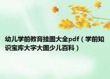 幼儿学前教育挂图大全pdf（学前知识宝库大字大图少儿百科）