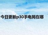 今日更新p30手电筒在哪
