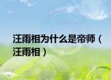 汪雨相为什么是帝师（汪雨相）